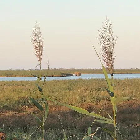 Mare&terra... Alloggi Nel Delta Apartmán