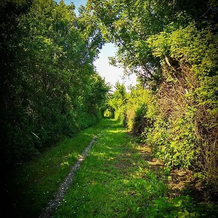 Mare&terra... Alloggi Nel Delta Apartmán Polesine Camerini